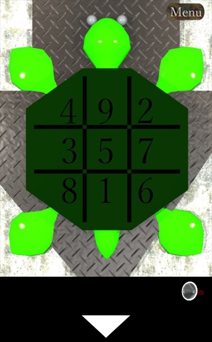 turtle33
