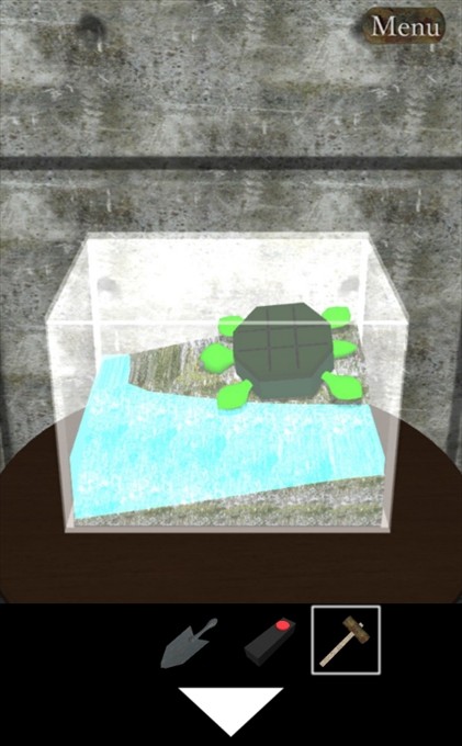 turtle8